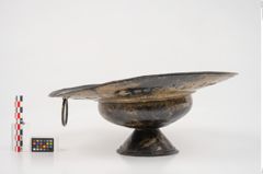 Foto von Bronzebreitrandfußschale (NHMW-PRAE-025275)